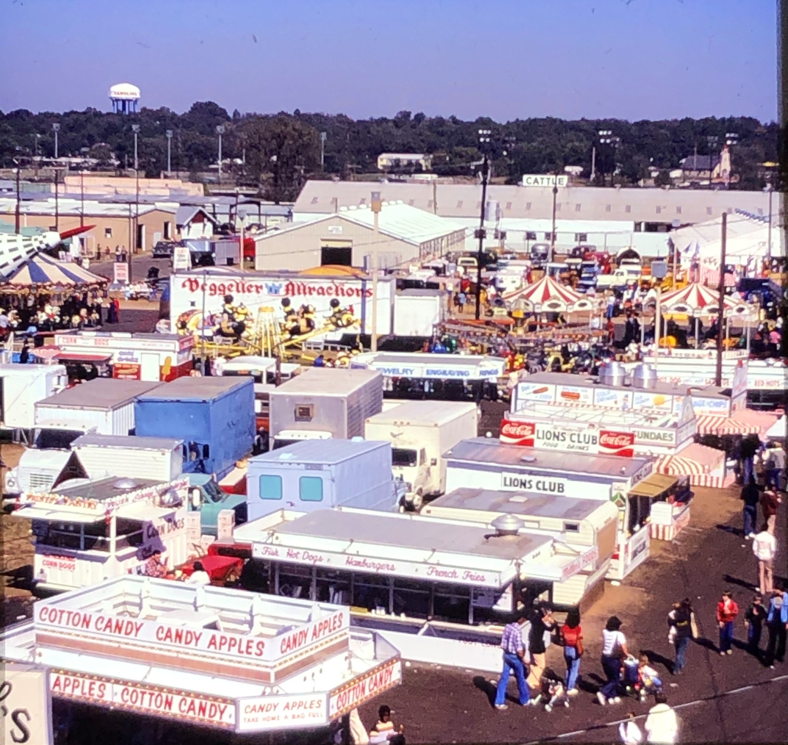 70s Food stands and Cattle 1