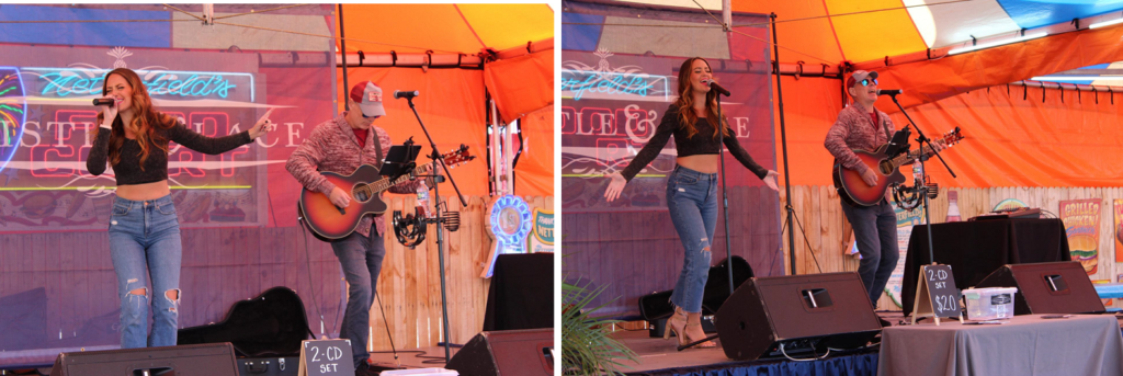 Thistle and Lace - In the Business of Having Fun at the South Carolina State Fair! 2 Thistle and Lace 2