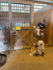 Spending time in the stables at the S.C. State Fair 4 Barn2