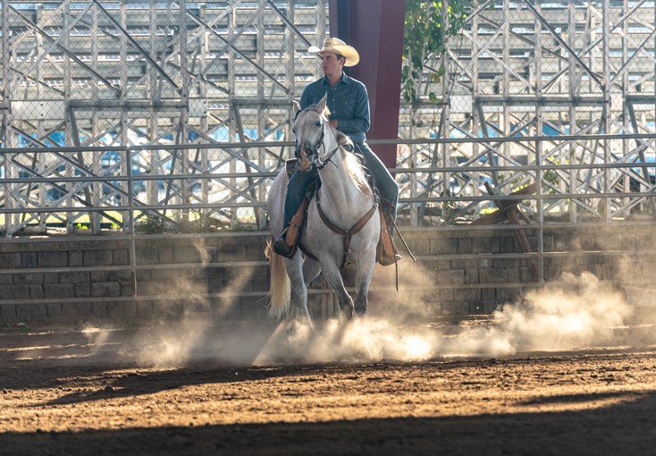 Spending time in the stables at the S.C. State Fair 5 Ride1