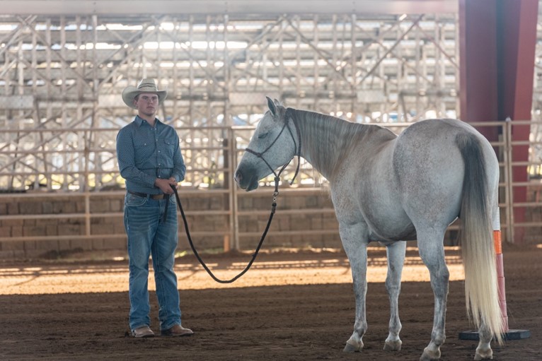 Spending time in the stables at the S.C. State Fair 6 Ride2