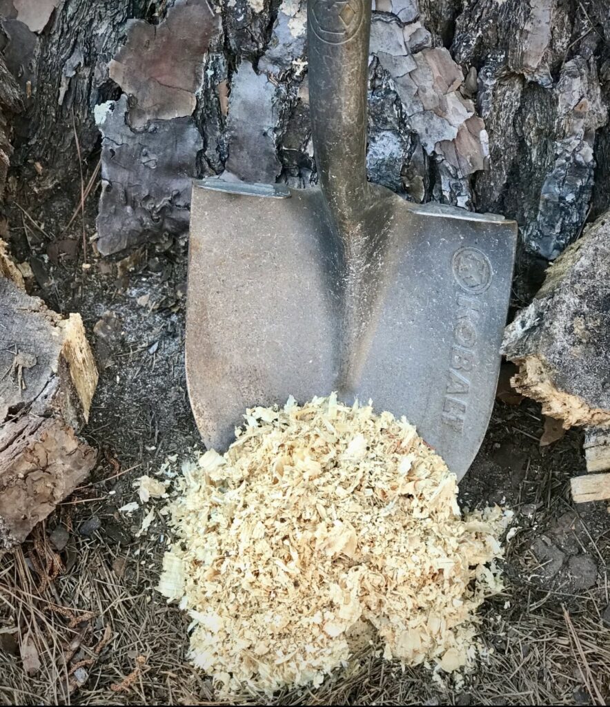 A Positive Partnership with S.C. Shavings 2 IMG 9289 e1755095886360
