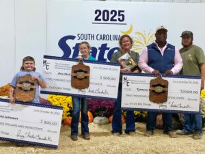 Beef Cattle Results 6 Landreth Scholarships scaled 1