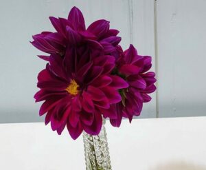 Flowers 2 e1762963157736