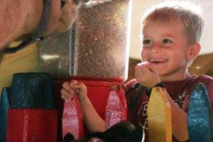 Easton Brazelo, 5, of Columbia, feeds a camel and goat at the South Carolina State Fair petting zoo. “I liked feeding the animals, and I got a stuffed animal too,” Easton stated with a big smile as he showed his new prize.. The Brazelo family went to the fair to enjoy the rides and visit the petting zoo.