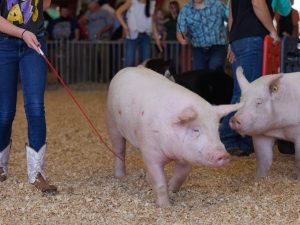 2024-scsf-forrestclonts-webres-18