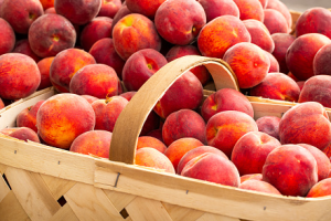 Peaches Peaches