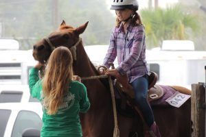 Youth Horse Youth Horse