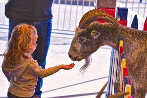 commerford-petting-zoo commerford-petting-zoo